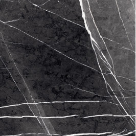 Керамогранит полированный Primavera GR203 Fedele Negro High glossy 600*1200 мм (1,44 м2)
